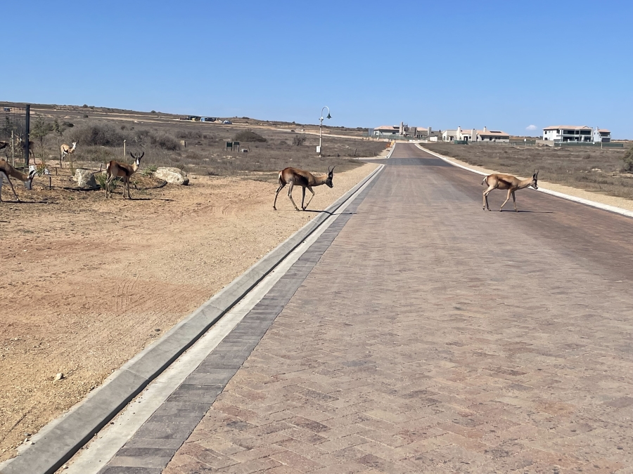 0 Bedroom Property for Sale in Country Club Western Cape